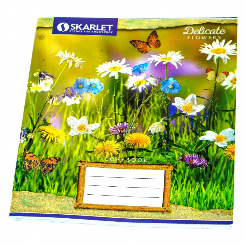 Տետր 48թ Skarlet Լայն Փայլուն 10